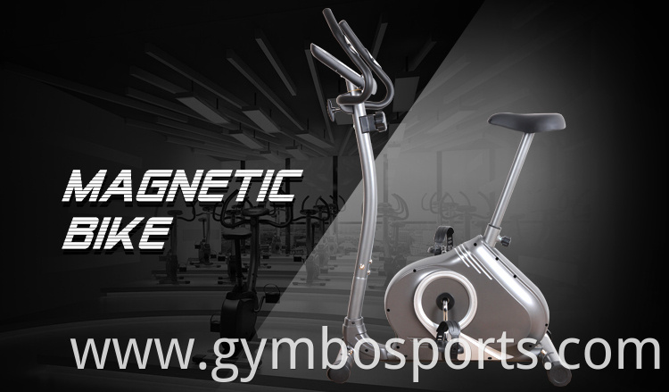 Indoor Trainer Best Magnetic Fitness 2-ways Flywheel Body Fit Exercise Bike